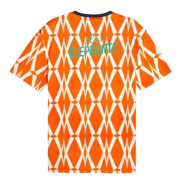 Ivory Coast National Team Fashionable Home Soccer Jersey