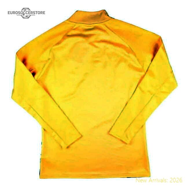 Luxury 2023-2024 Borussia Dortmund Pre-match Ls Sweat Top (yellow)