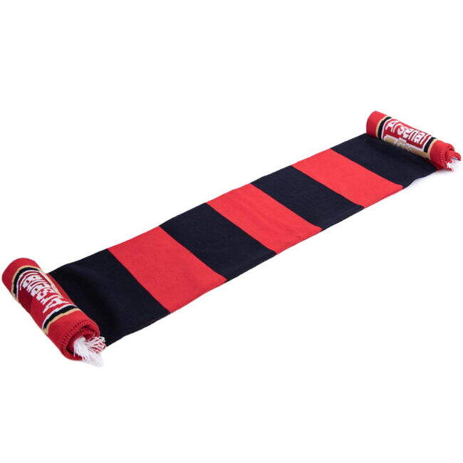 Men's Arsenal FC Contrast Bar Scarf