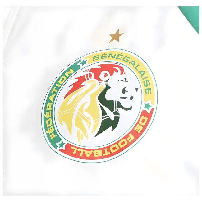 Player Issue Style Senegal High Standard Home Elite Kit