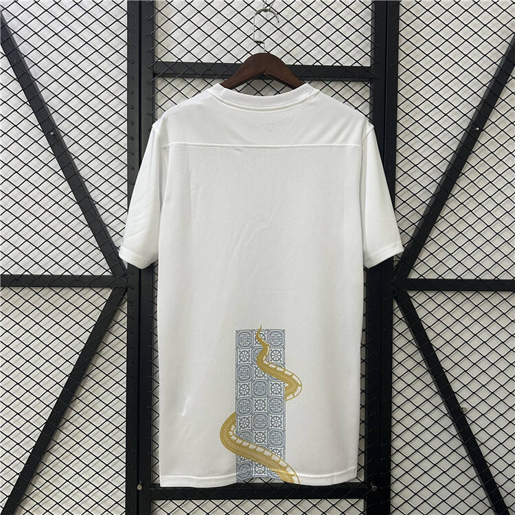 2526 Tottenham Hotspur Warm Up Shirt - Official Replica 8501