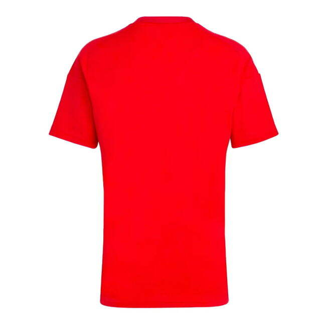 Hungary Classic Home Jersey 2024-2025