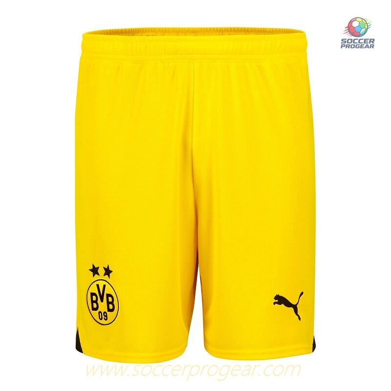 BVB Dortmund 2023 2024 Away Haller Children Jersey Set Soccer Jersey