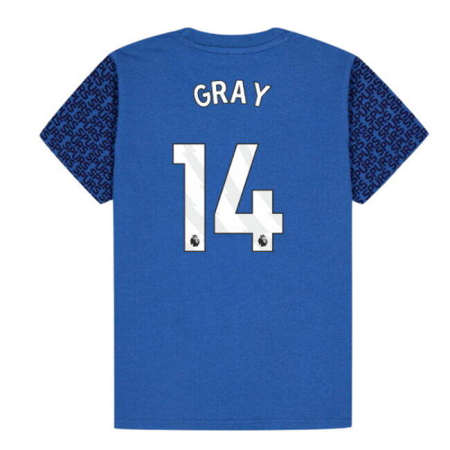 Tottenham Hotspur Graphic T-shirt (Blue) - Kids (Gray 14)