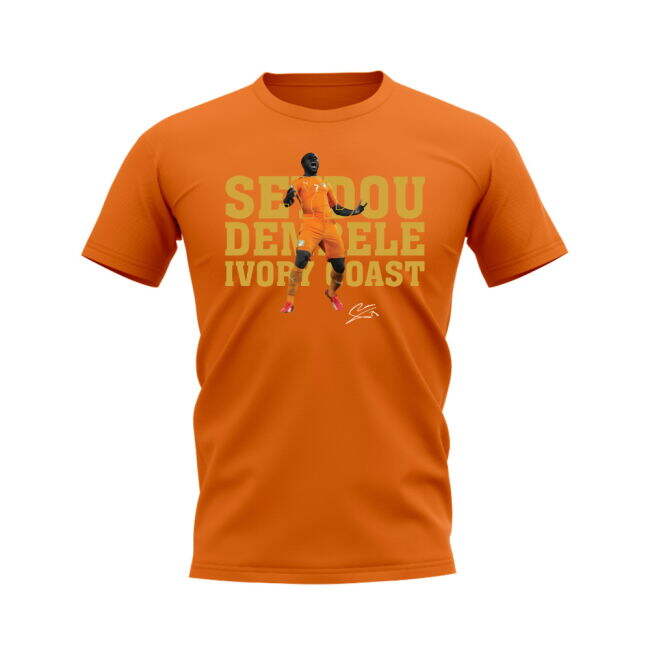 Ivory Coast Pro Jersey Seydou