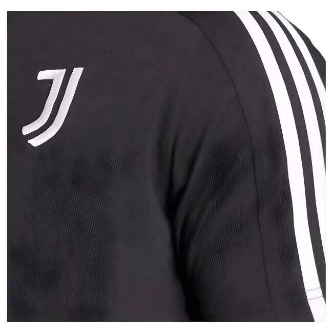 Adult Juventus Jersey 2024-2025