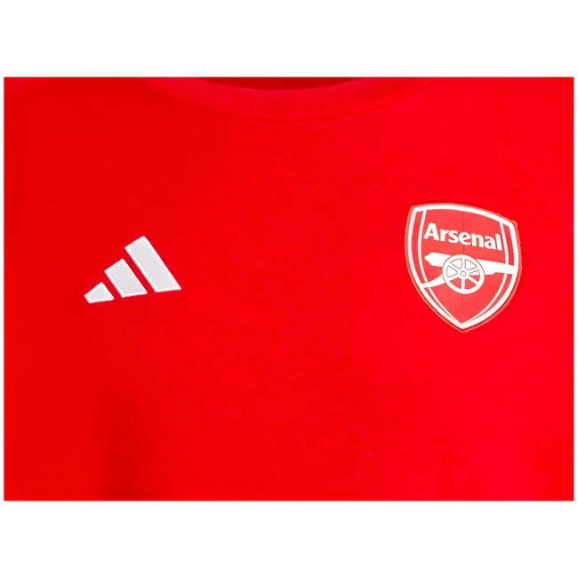 Arsenal Pro Jersey 2024-2025