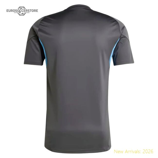 2025-2026 Newcastle Training Shirt (grey) - Match Day Jersey