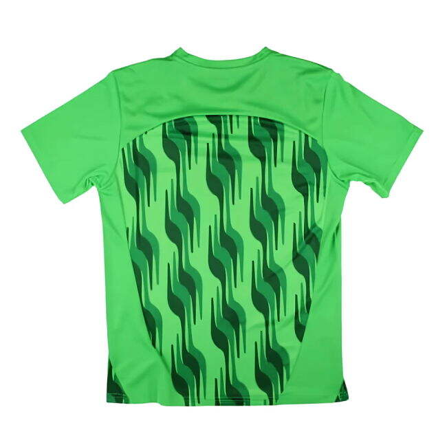 2024-2025 Borussia MGB Pre-Match Jersey (Green)