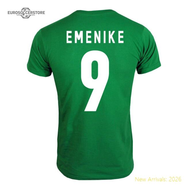 2013 Nigeria 20242025 Regular Premium Jersey Quickdry