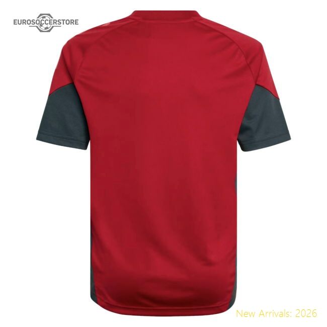 Authentic 2025-2026 Liverpool Training Jersey (strawberry Red) - Kids