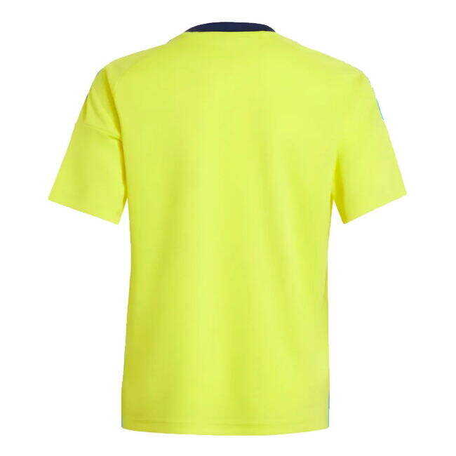 2024-2025 Sweden Home Fan Shirt (Kids)