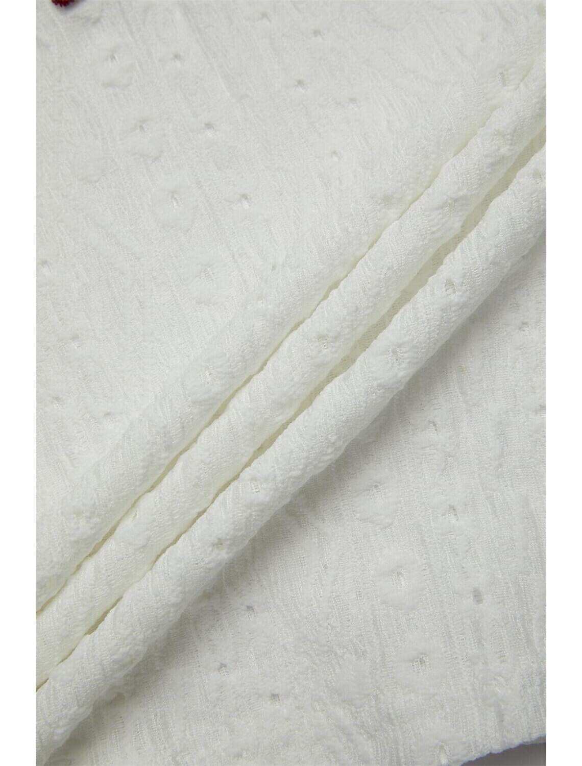 Women's Elegant Lace Tops Eyelet Blouse Floral Embroidery V-Neck Half Sleeve Summer Casual Outdoor Everyday Wear Romantic Petite Tops Summer Holiday Wear