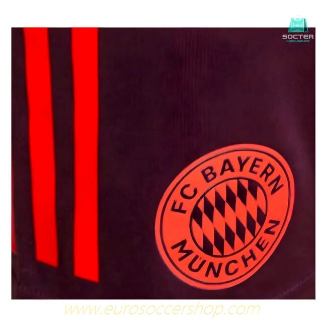 2024-2025 Bayern Munich Training Shorts (Shadow Maroon) - Kids