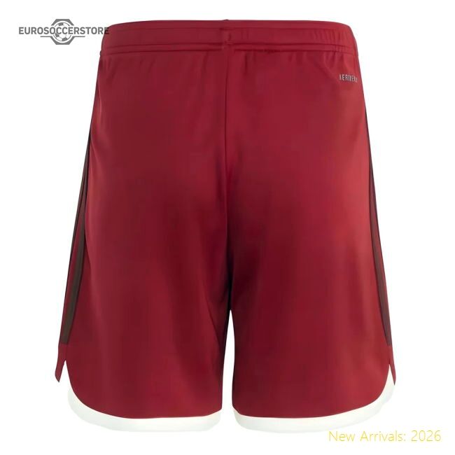 2023-2024 Bayern Munich Third Shorts (red) - Kids - Concept Creation