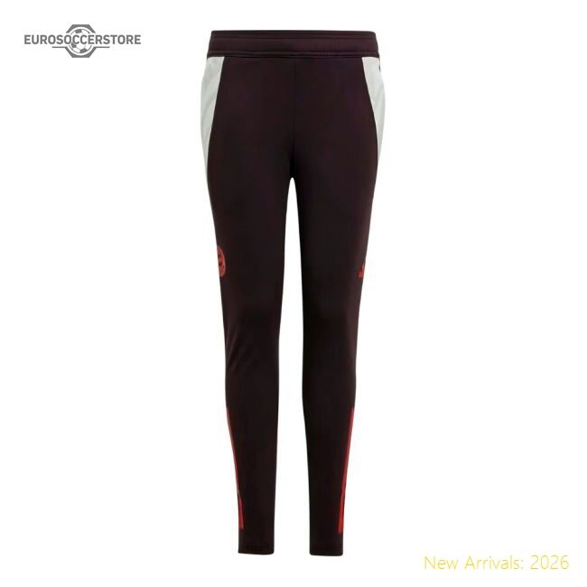 Excellent 2024-2025 Bayern Munich Training Pants (shadow Maroon)