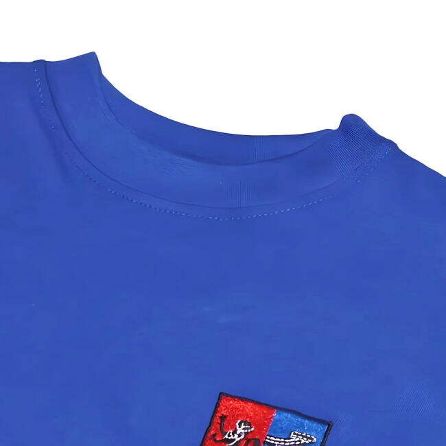 Ipswich Town 1960s-1970s Retro Football Shirt (Match Day)