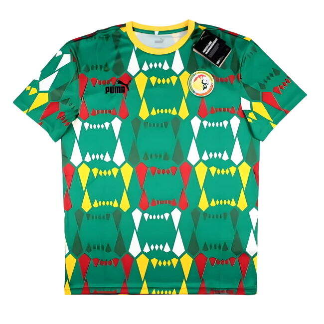 Senegal Pro Jersey 2023-2024