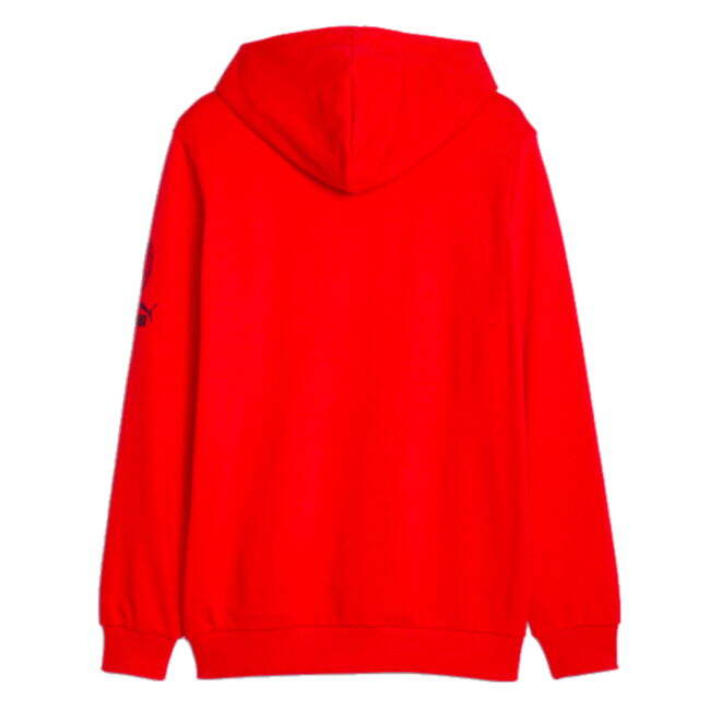 Adult AC Milan Jersey 2023-2024 #14