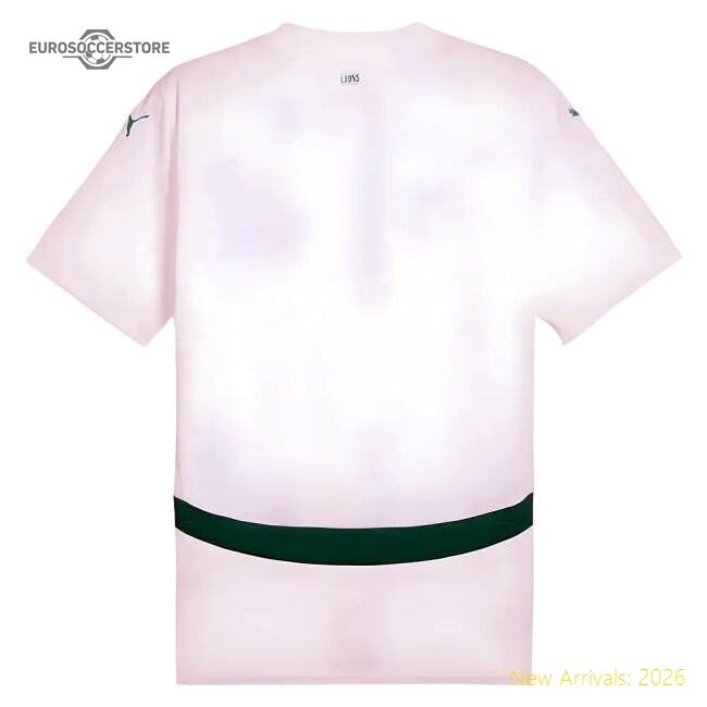 Elite Senegal 20242025 Home Shirt () Sadults Drifit Contemporary