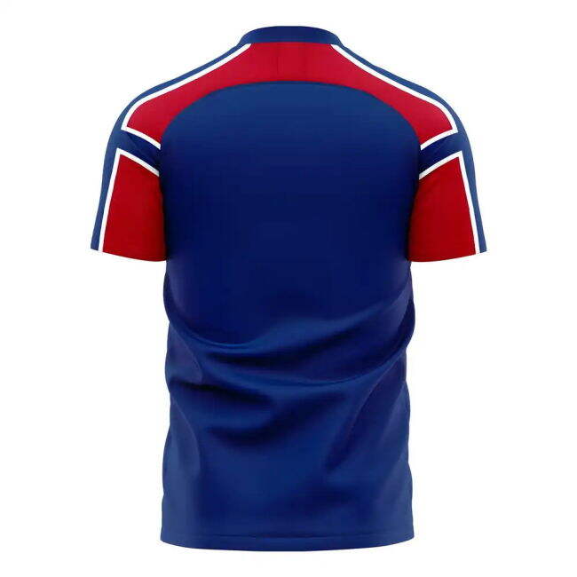Professional Style Norway Away Professional Jersey 2025-2026