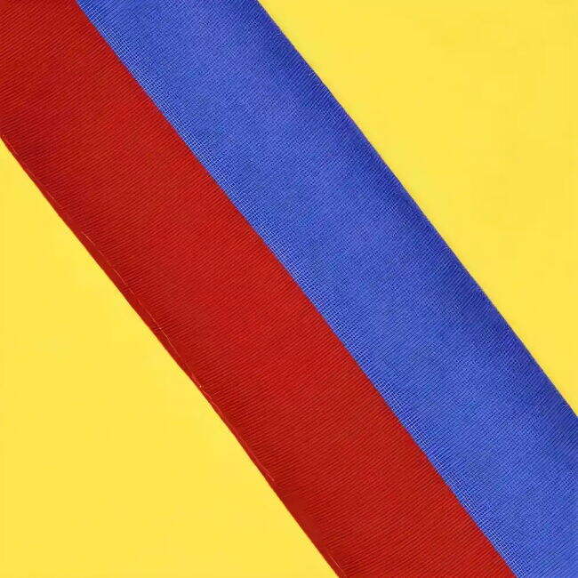 Barcelona Barcelona Away Jersey (Adult)