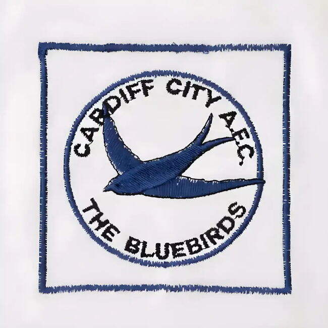 1980-1981 Shirt by Shrewsbury Town Retro (Unisex