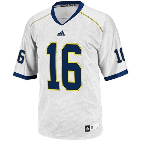 Men Ncaa Team #16 Denard Robinson Official Football Jersey