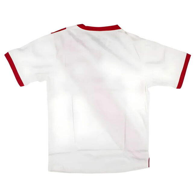 Peru National Team Professional Grade Home Pro Level Shirt