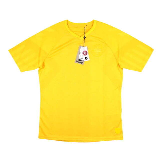 Away Shirt for Denmark 2022-2023