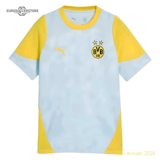 Top-grade 2025-2026 Borussia Dortmund Training Training Jersey (sil