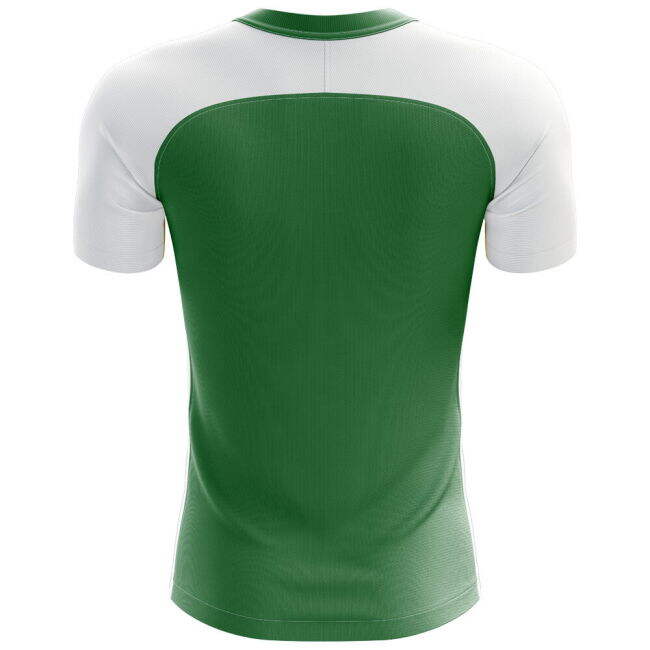 Nigeria Modern Home Jersey 2025-2026