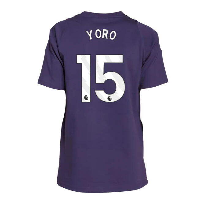 2025-2026 Premier League Jersey - Stretchable Modern Aurora Plum #192