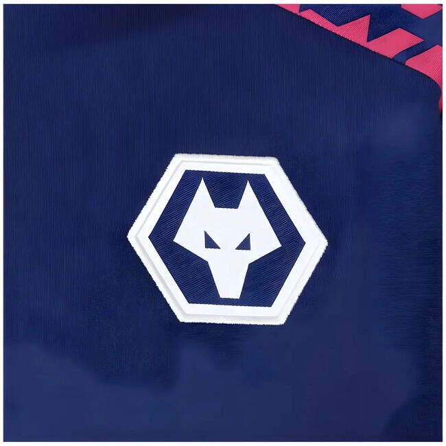 2024-2025 Wolves Pre Match 1/4 Zip Top (Blue/Pink)