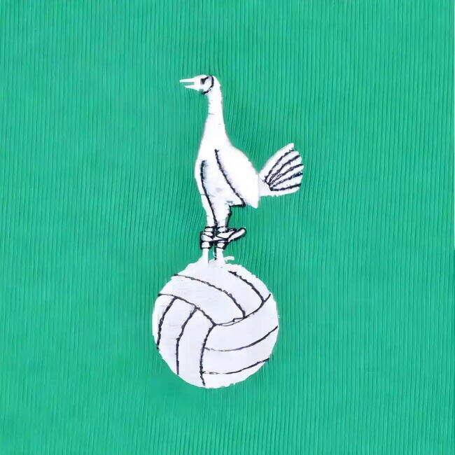 Tottenham Special Edition Jersey Tottenham #12