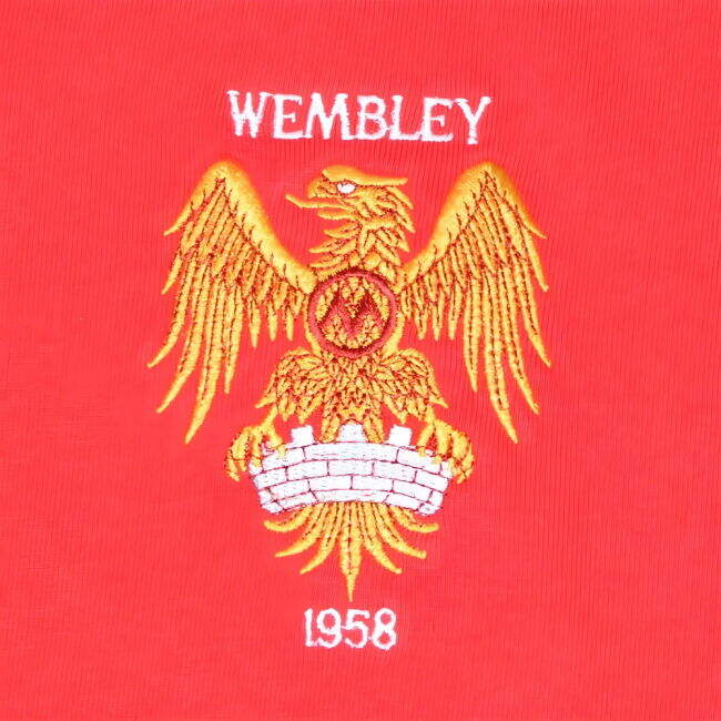 Man City Soccer Jerseys Pro Jersey Manchester