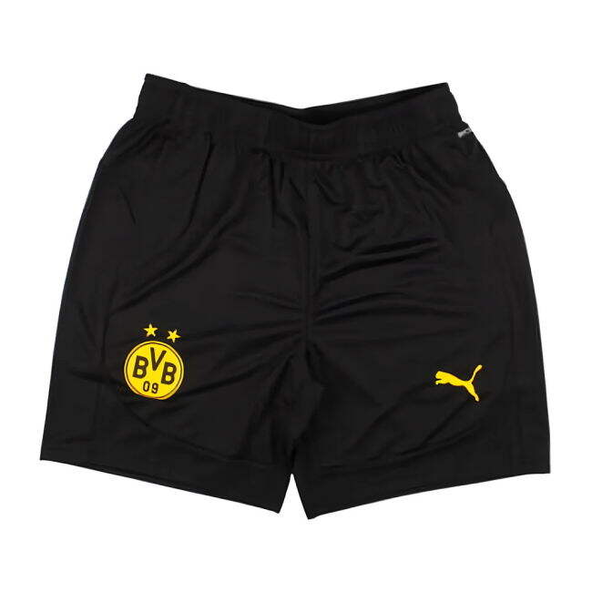 2024-2025 BVB Training Affordable Shirt (Black) Lightweight