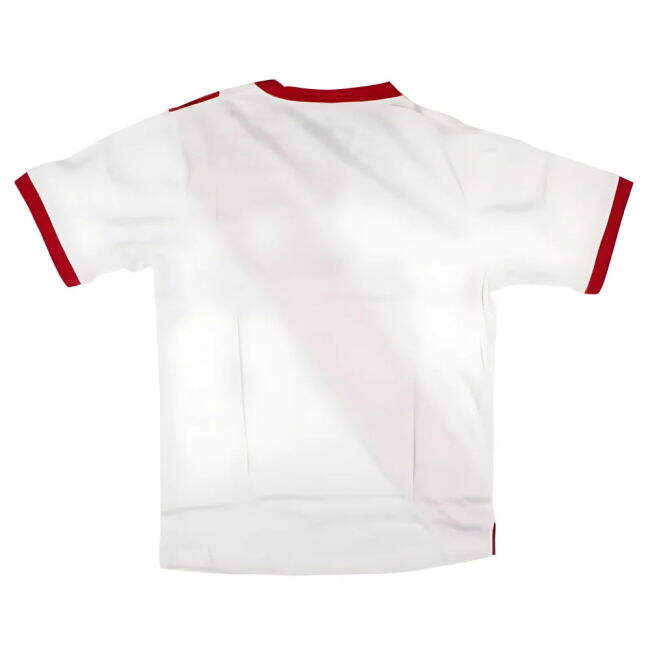 Peru Performance Jersey Vintage