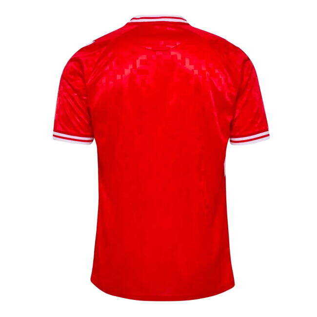 Minimalist 2024-2025 Denmark Home Shirt Avant-garde