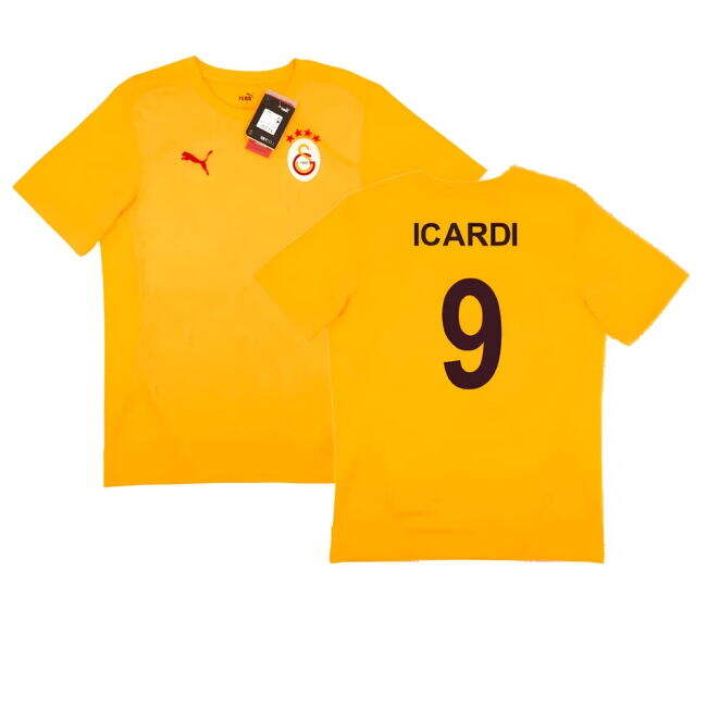Top Quality Training Kit Wesley Sneijder #10 Official Merchandi (v10)