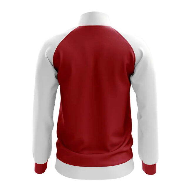 Authentic 2025-2026 Denmark Euro 2024 Concept Shirt