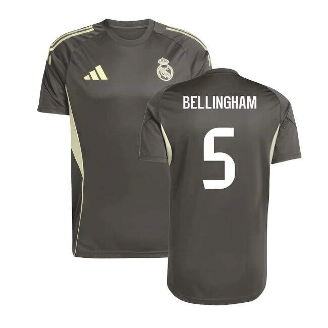 Professional Real Madrid 2025-2026 Training Kit (1)
