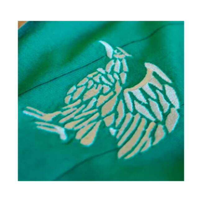 Mexico Special Edition Home Jersey Mexico