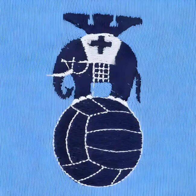 Premium Coventry City 1970s Home Retro Football Shirt (City 1970)