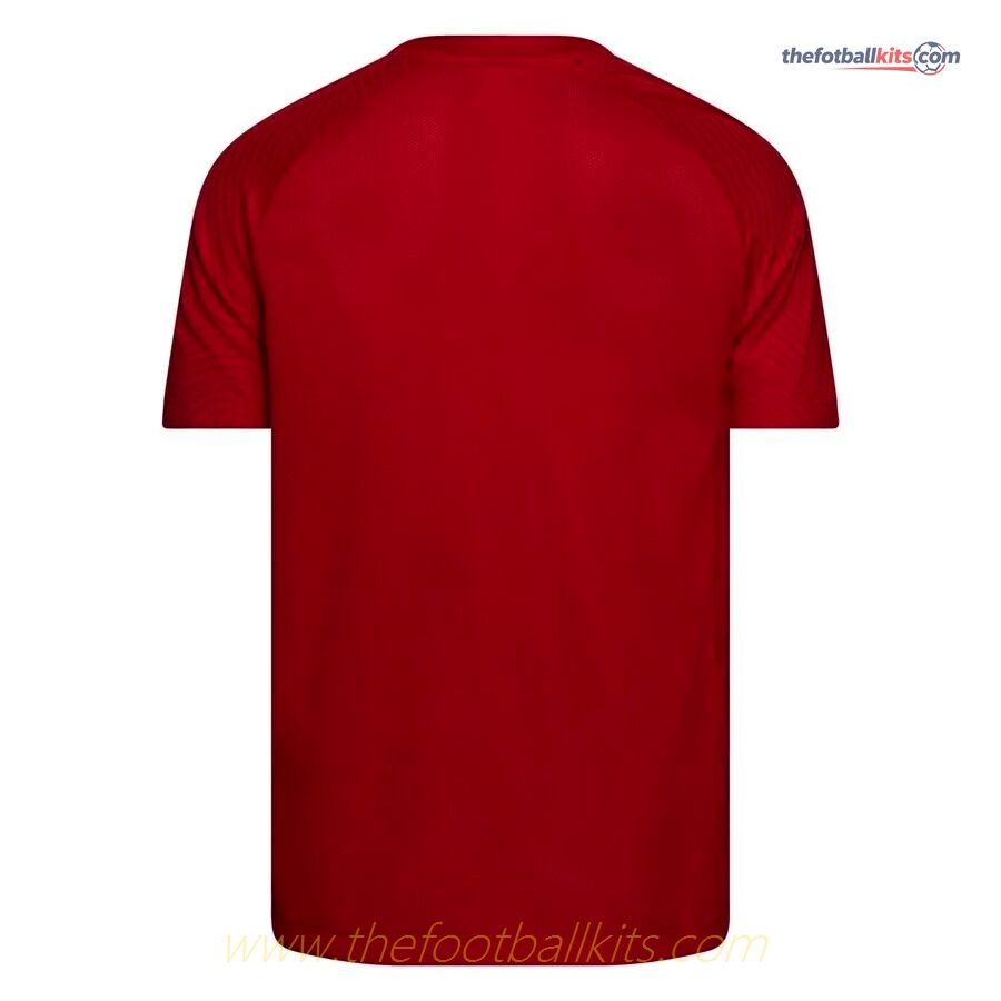 Norway Home Soccer Football Shirt 2022