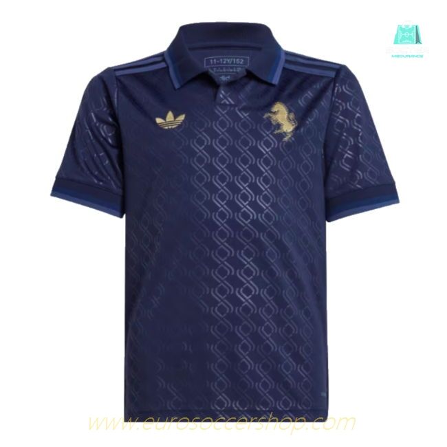 2024-2025 Juventus Third Shirt (Kids) (Del Piero 10)