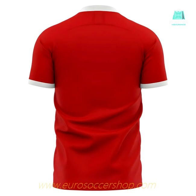 2025-2026 Jahn Regensburg Home Concept Football Shirt