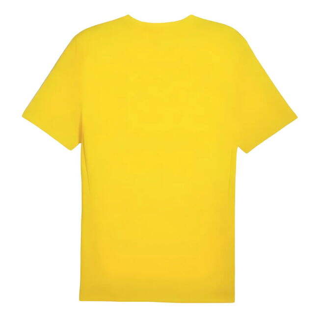 2024-2025 Borussia Dortmund Training Competitive Price Shirt (Yellow)