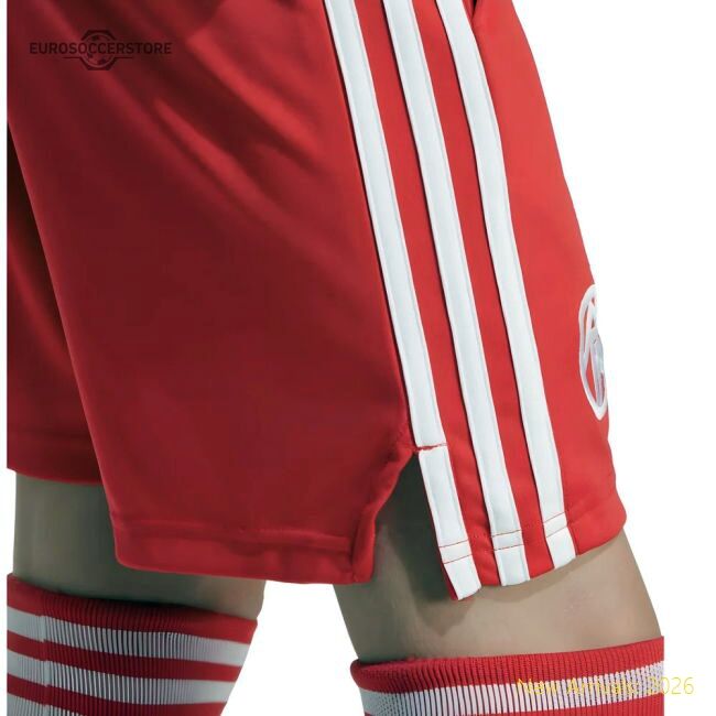2025-2026 Bayern Munich Third Goalkeeper Shorts (pure Ruby) - Kids