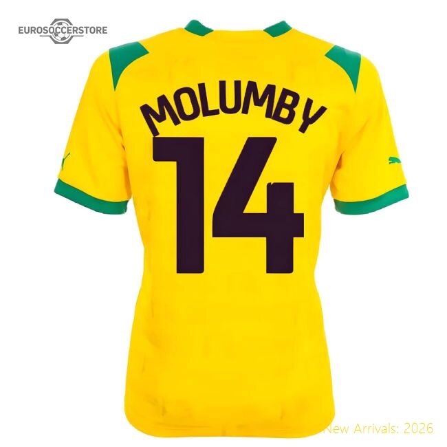 Official 2022-2023 West Bromwich Albion Away Shirt (molumby 14)